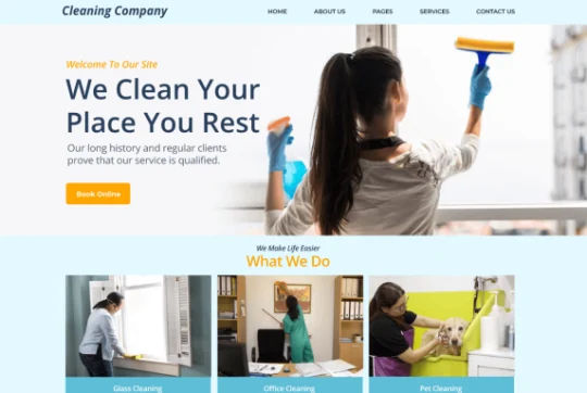 cleaning website